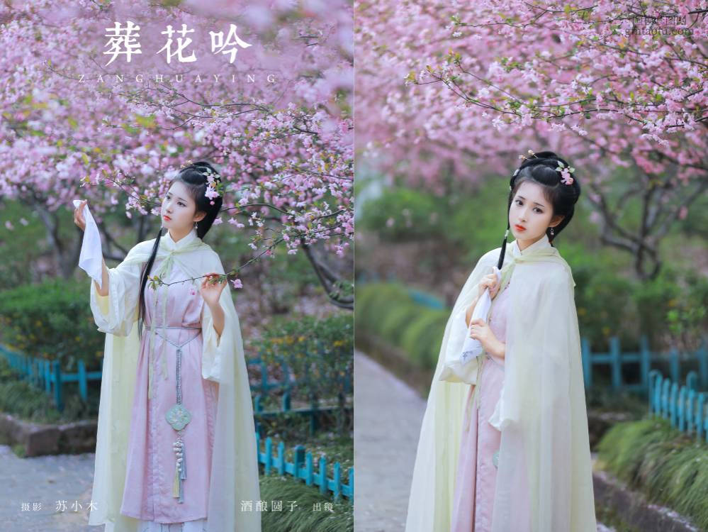 [YITUYU艺图语] NO.6587 2024.07.29 葬花吟 酒酿圆子[24+1P402MB]